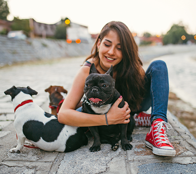 dog walker woman with 3 dogs